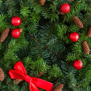 Balsam Fir Fragrance Oil