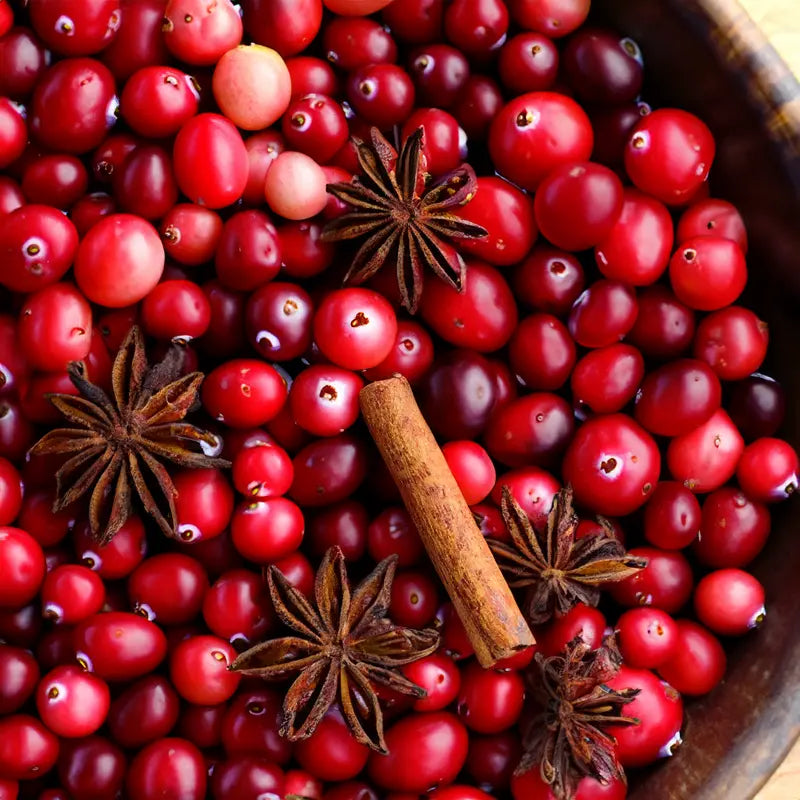 Cranberry Spice Fragrance Oil