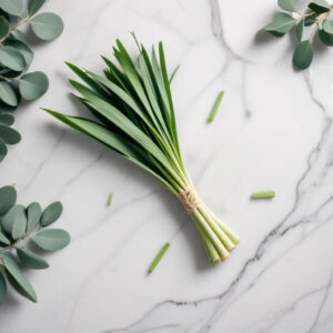 Lemongrass Eucalyptus Fragrance Oil