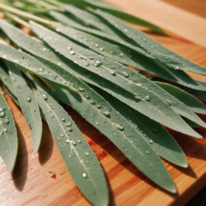 Sage and Lemongrass Fragrance Oil
