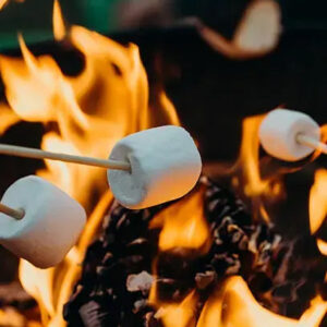 Marshmallow Fireside by BBW Type Fragrance Oil