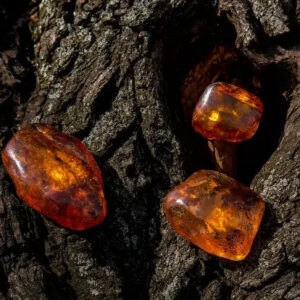 Amber and Oud Fragrance Oil