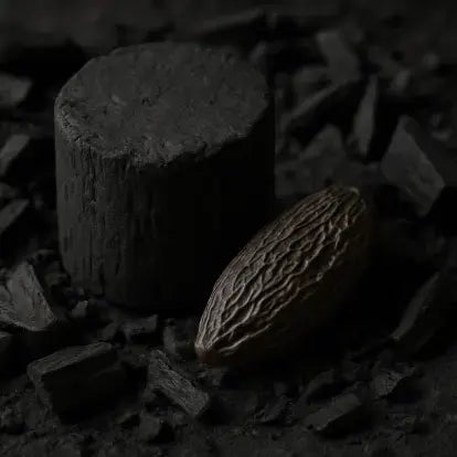 Charcoal Tonka Fragrance Oil
