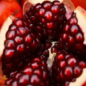 Pomegranate Fragrance Oil
